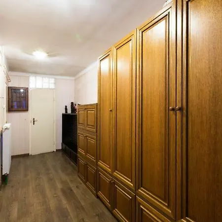 Vigado Square Panorama