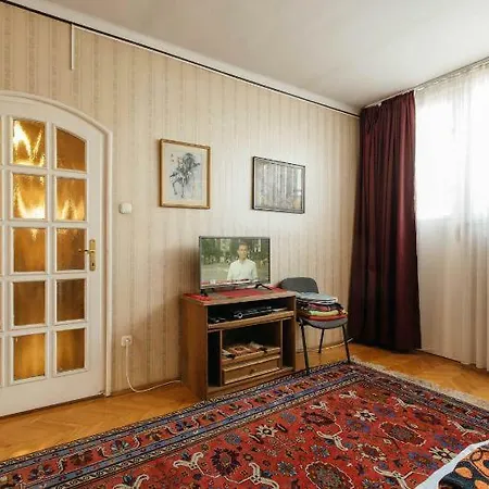 Vigado Square Panorama