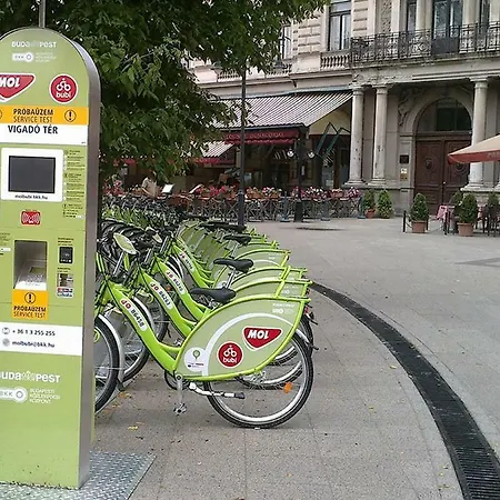 Vigado Square Panorama *
