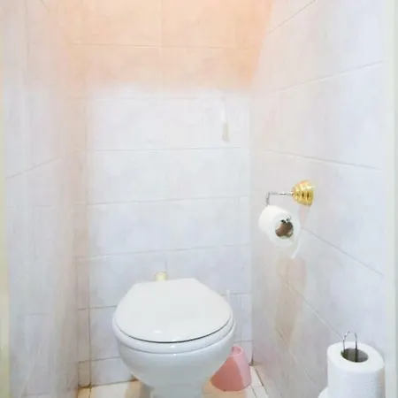 Vigado Square Panorama Budapest